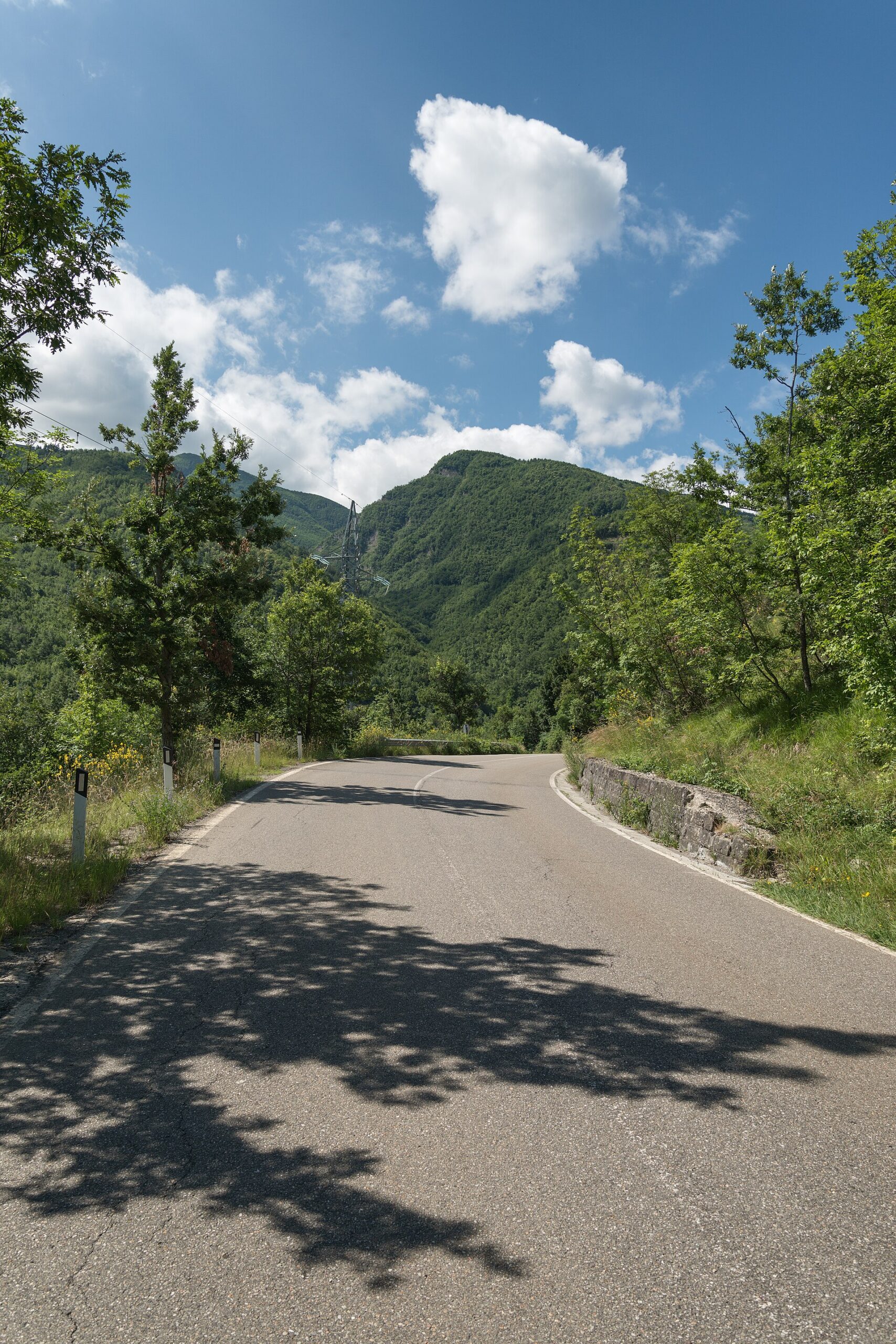 Una strada che sale tra i boschi verdi di Montecreto, con i monti dell'Appennino sullo sfondo
